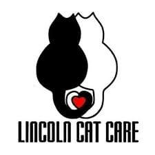 lincoln cat care